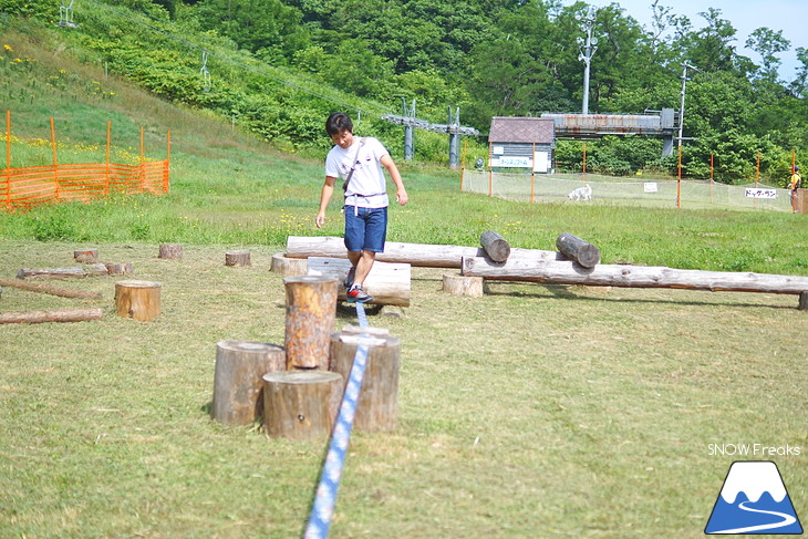 北海道最大級、213万輪のゆりの花！『オーンズ春香山ゆり園』